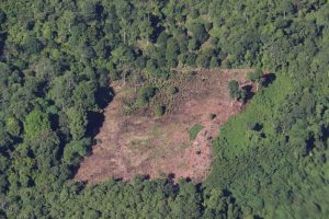Dugaan Perambahan Hutan Di Proyek Jalan Jantho – Lamno, Polda Aceh Turun Tangan