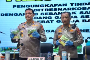 Polisi Temukan 10 Hektar Ladang Ganja, Di Aceh