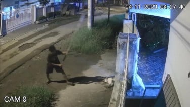 Aksi Pria Curi Anjing di Medan Terekam CCTV