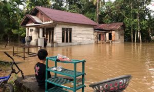 Intensitas Hujan Tinggi, Enam Kecamatan Dan Puluhan Desa Di Aceh Jaya Terendam Banjir