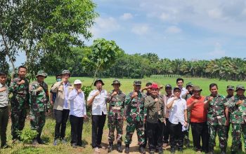 Kementan-TNI Bersinergi Wujudkan Lampung Sebagai Sentra Produksi Beras Nasional
