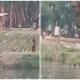 Minim Pengawasan, Anak-anak Bebas Berenang di Waduk Cincin Papanggo
