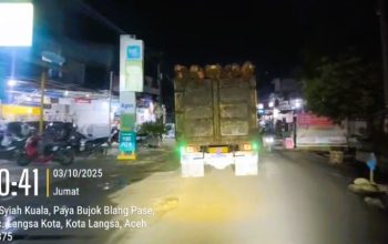 Diduga Milik PTPN IV, Truk Sawit Bebas Lintasi Jalan Kota Langsa Tanpa Penutup